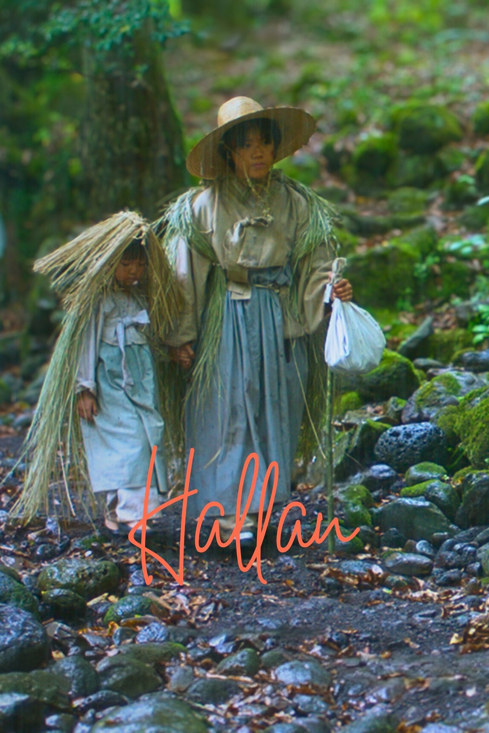 Hallan poster